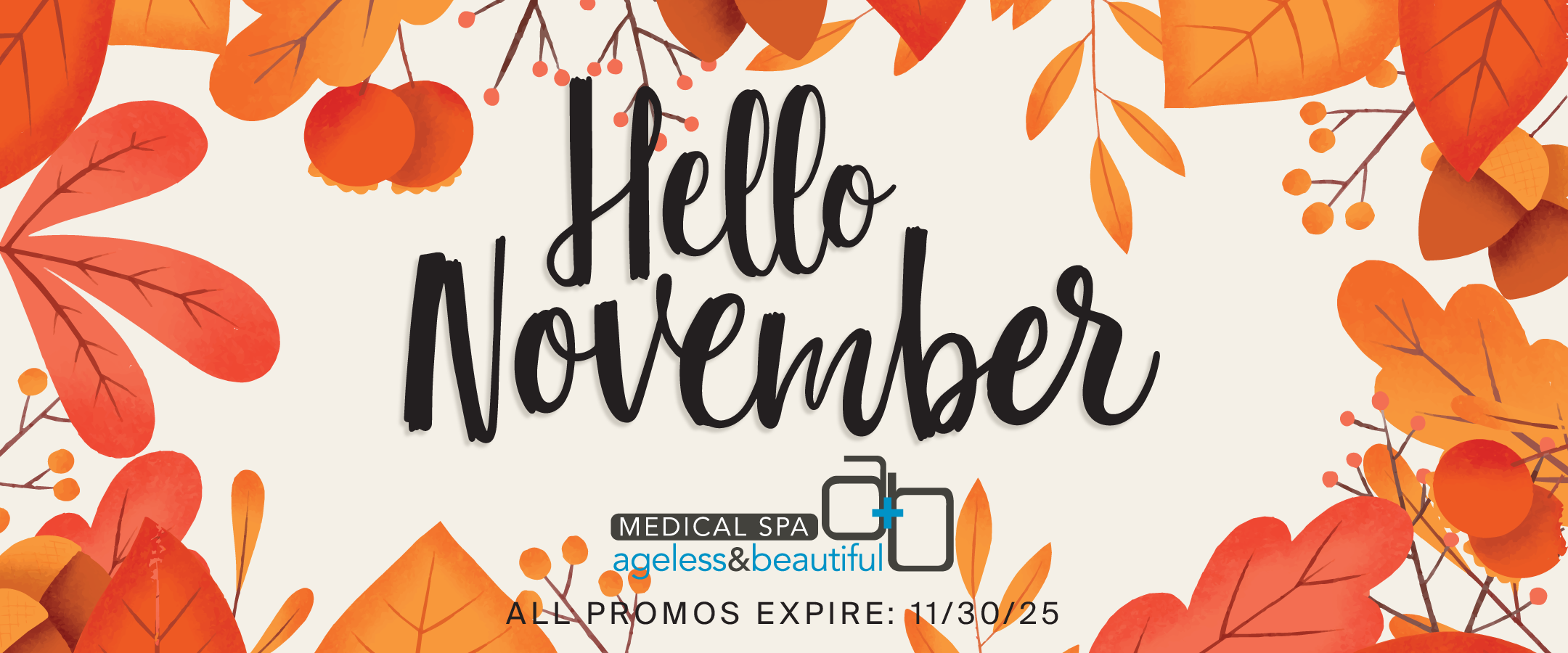 AB25-November-Specials-Header